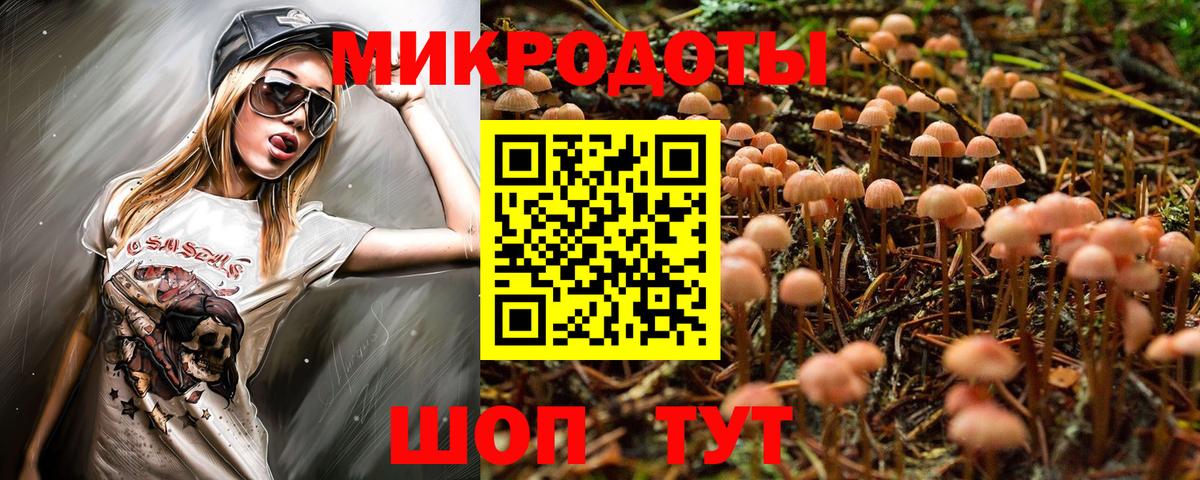 Псилоцибиновые грибы Psilocybine cubensis  Вход с VPN  Вольск 